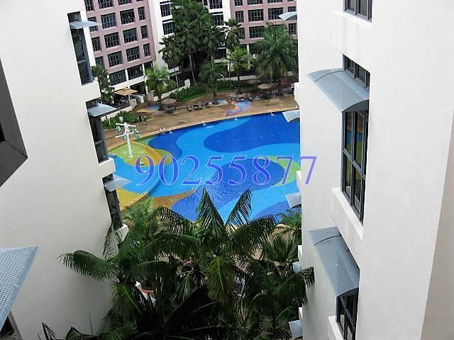 Carissa Park Condominium thumbnail photo
